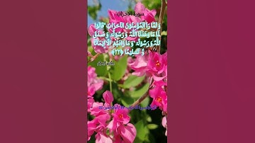 القرآن/ سورة الاحزاب : 33 / آیات نمبر : 21 ، 22