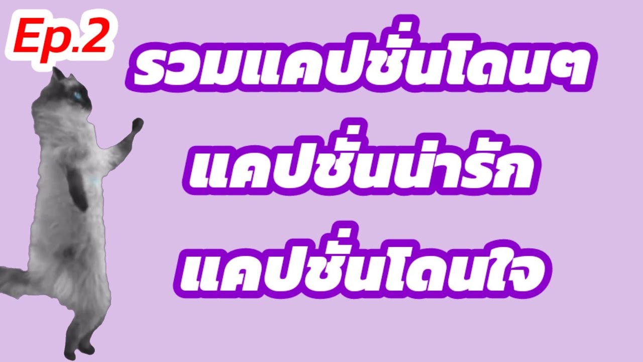 แคปชั่นน่ารักๆ  Update  #รวมแคปชั่นโดนๆ# แคปชั่นน่ารัก#แคปชั่นโดนใจ#แคปชั่น#ข้อคิด#คำคม#กลอน#คติสอนใจ  #PPhu 24 Channel