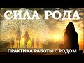 ПРАКТИКА РАБОТЫ С РОДОМ. СИЛА РОДА