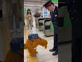 犬コス幼児に「いってらっしゃい」案件🐶👶✨ #kids #station #cute #japan #funny @chiero_piero