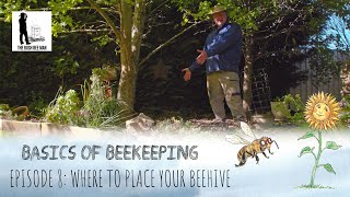 Choosing a Proper Beehive Location: Hive Placement & Setup | The Bush Bee Man