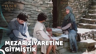 Kardeşler Fazla Meraklı | Hz.Yusuf