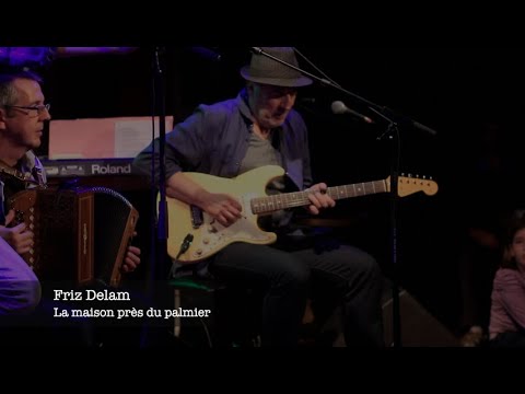 Friz Delam - La maison près du palmier live