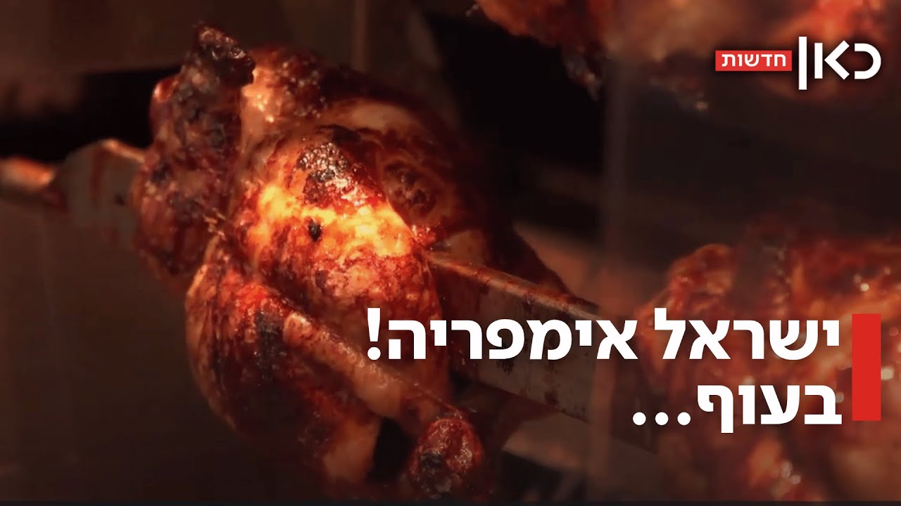 ותמיד יהיה לי רק עוף: איך הפכה ישראל למעצמה עולמית דווקא בצריכת עוף?