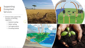 APES Topic 2.2: Ecosystem Services