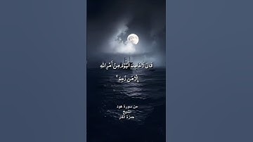 قال لا عاصم اليوم من أمر الله / من سورة هود / الشيخ حمزة الفار
