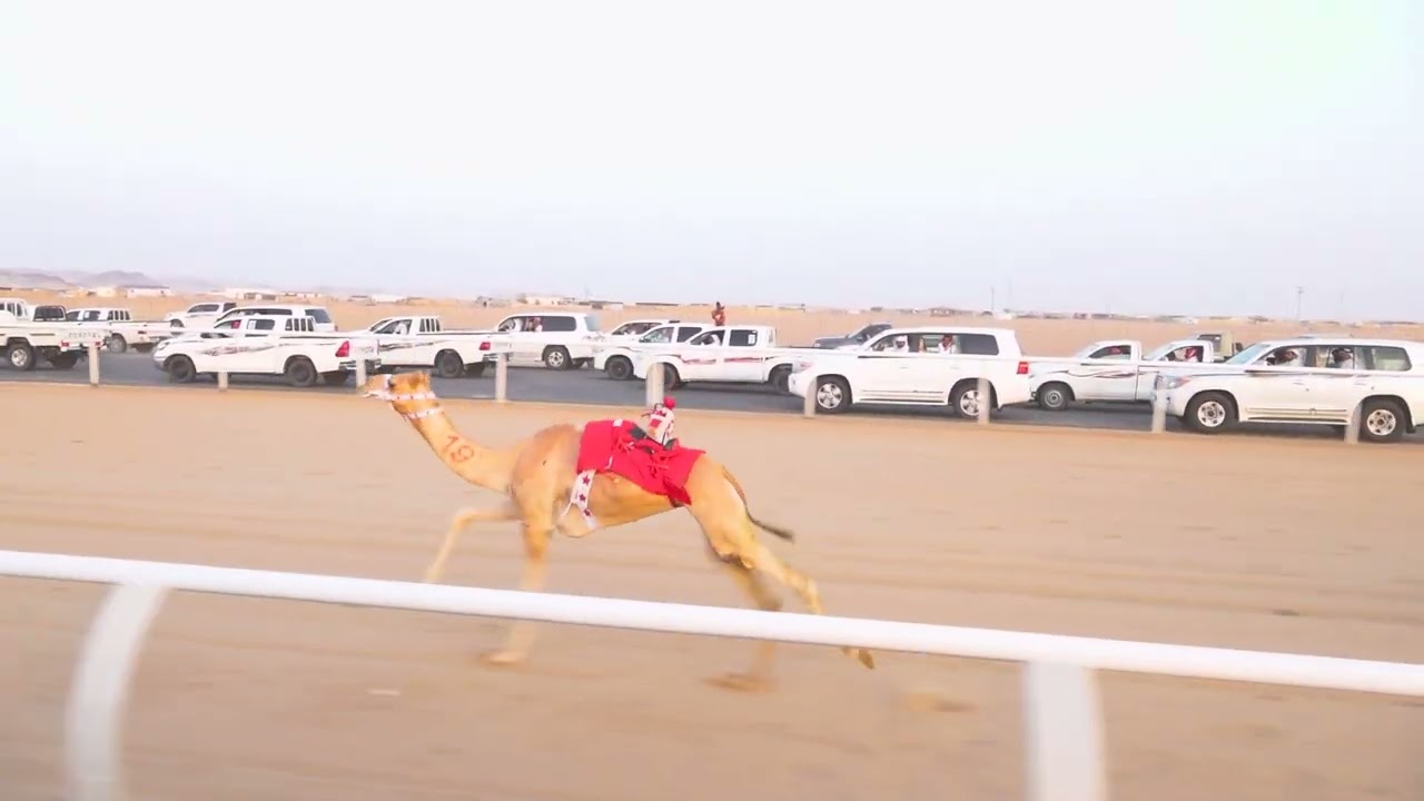 ١/حقايق بكار / ٣٠٠٠م م / مزنه / عبدالله محمد بن منيف 