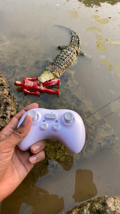Remote control Crocodile 🐊 #unboxing