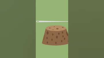 How to Make a Compass #shorts