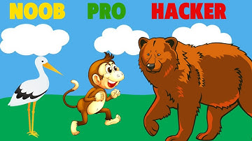 NOOB vs PRO vs HACKER - Battle Choices
