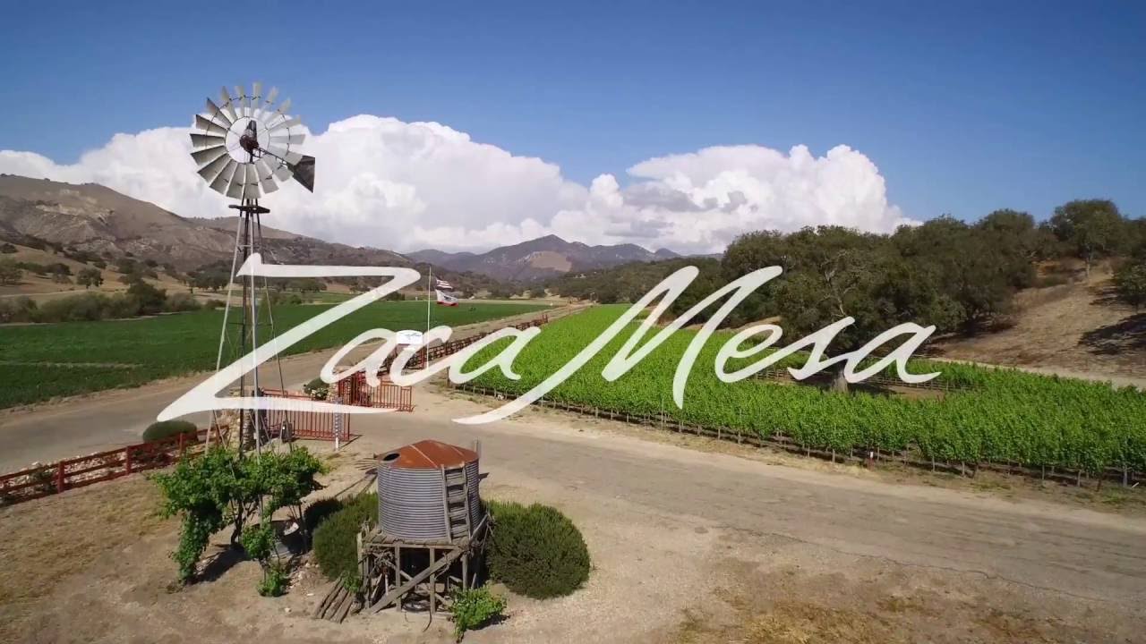 Introduction to Zaca Mesa Winery YouTube
