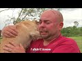 Dogs Meet Owners After Tornadoes