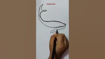 How to draw Whale fish😲 #shorts #viral #art #drawing #fish #whale #ytshorts