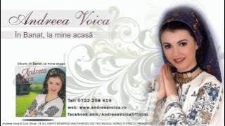 Andreea Voica - In Banat, la mine acasa
