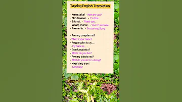 Basic Tagalog English Translation That You Need To Know Educationalvideo English Tagalog 