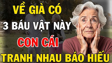 Về Già Ai Làm Được 3 Điều Này, Con Cái Tự Khắc Tranh Nhau Báo Hiếu – Tuổi Già Mới Thật Sự Bình An