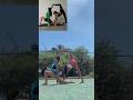 Would you try this with your bff? #partnerchallenge #flexibility