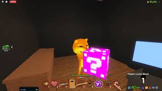 OHIO ROBLOX LUCKY BLOCK MORADO