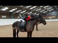 Creating your Assessment Video - Equine Sport Pathway Level 3