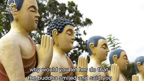 Dharma Talk I Who Wrote the Famous Verse of Opening a Sutra I Cause and Effect (07/28/2022)