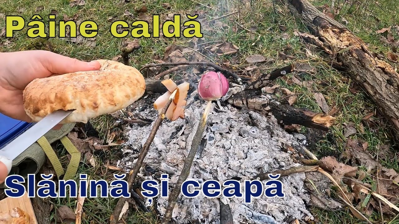 Cum se face un foc cu lemne umede? Bonus SLĂNINĂ PRĂJITĂ și PÂINE CALDĂ #bushcraft #camping