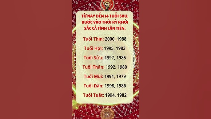 Tuổi Thìn 1988 Và Tuổi Hợi 1995: Tình Duyên, Sự Nghiệp Và Phong Thủy Hợp Nhau Như Thế Nào?