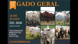 12º Leilão de GADO GERAL - CONCORDIA-SC