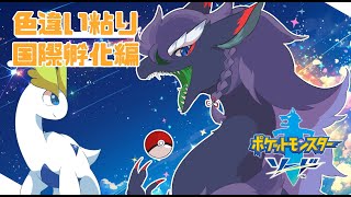 【ソード/ポケモン剣盾】国際孵化やりますわよ～！みんなで雑談しましょ～！＃VTuder＃女性配信者＃色違い#ポケモン