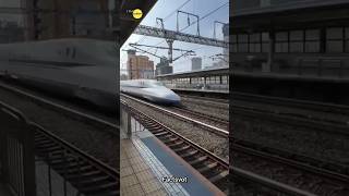 How japan bullet train save 10k life 😱😨 #shorts #facts #viral #martialarts #japan #train
