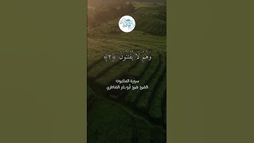 سورة   العنكبوت   للشيخ     أبو بكر الشاطري