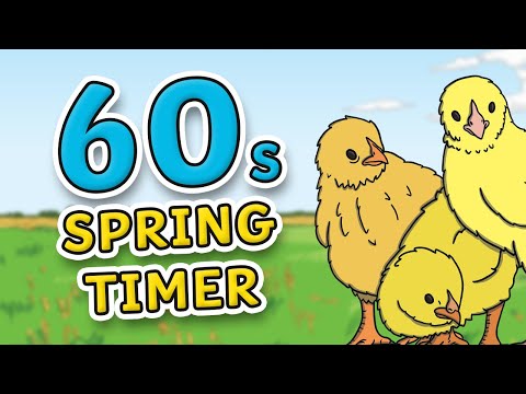 60 Second Spring Timer for Kids | 1 Minute Countdown
