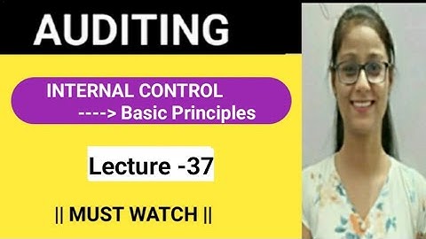 Lecture -37 || INTERNAL CONTROL || Basic Principles || 📝📚📢