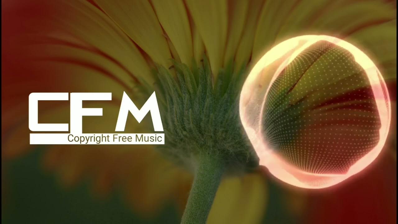 no-copyright-background-music-for-content-creators-download-free