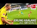 Erling Haaland - 19 Goals In Only 21 Bundesliga Games