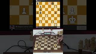 Магнус чуть не проиграл — Синдаров не сдаётся #chess #шахматы