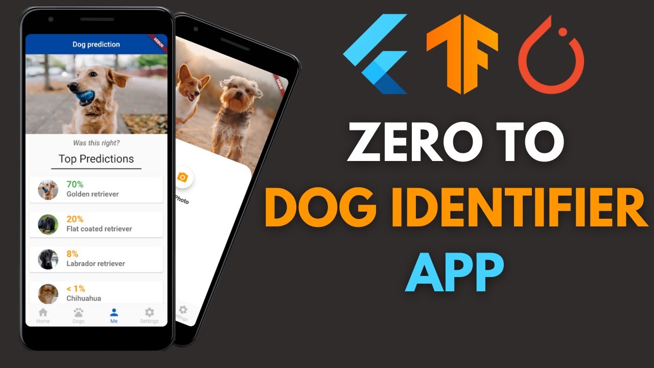 Building a Dog Breed Identifier App from scratch - DogNet