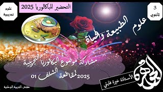 رابط البكالوريا التجريبي 2025