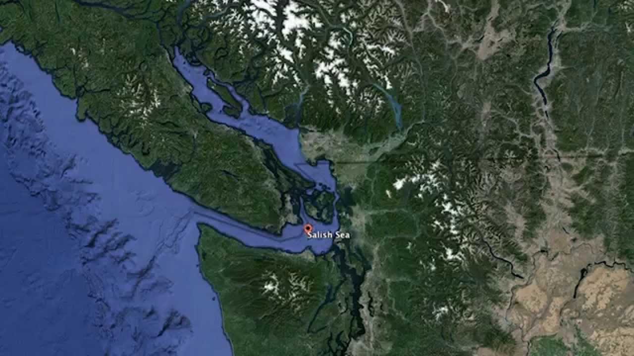 The Salish Sea: An Ecosystem Divided by an Arbitrary Border
