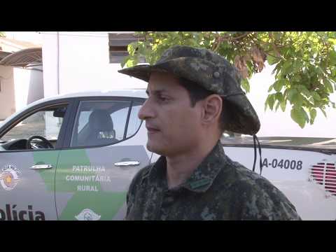 Polícia deflagra operação de combate ao tráfico de animais silvestres