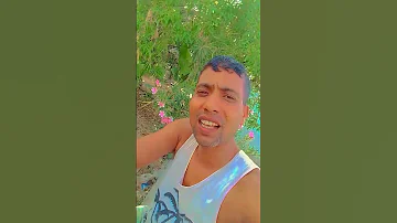 Main Toh Bagawat Kardu Shortsvideo Youtubeshorts Trending Viral Shorts Love Song Santosh 