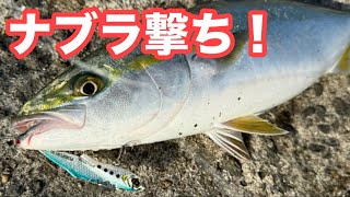 ナブラ撃ち！】周りが沈黙する中、連続ヒット！このルアー投げれば釣れ 
