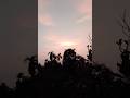 তুমি জানোই না যে আল্লাহ তালা কোথায় নেবেন ! মিজানুর রহমান আজহারী নিউ শর্টস ভিডিও সঠিক পথ মোর .....
