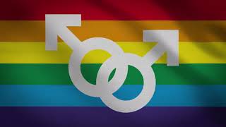 LGBT Gay Flag Loop Special Effects screenshot 5