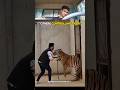 TROLL VIDEO CONTROLLING TIGER🐯#trending #controlling #tiger #edit