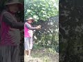 Mindset Pertanian Terpadu: Berpikir dari Kebun
