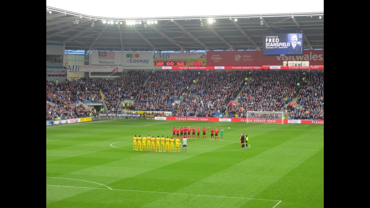 Cardiff vs. Crystal Palace 2014 | PalaceFanTV