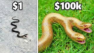 $1 vs. $100.000 Cobra! screenshot 3