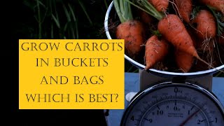 Grow Carrots in buckets & bags which is best. Same volume bucket & bag, same mix. its a fair fight