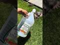 MOLE PROBLEM Ôüë Å Easy And Effective Recipe MOLE PROBLEM Ôüë Å Easy And Effective Recipe