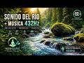 Sonidos de río y aves para meditación frecuencia 432hz #relax #asmr #sonidosrelajantesparadormir